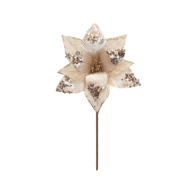 POINSETIA VELUDO CHAMPAGNE - ALT 35 CM X DIAM 25 CM (CF0583)