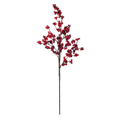 HASTE BERRY - ALT 68 CM (CF0420)