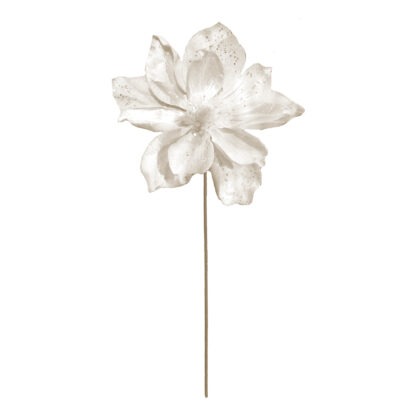 POINSETIA MAGNOLIA - ALT 65 CM X DIAM 22 CM (CF0354)