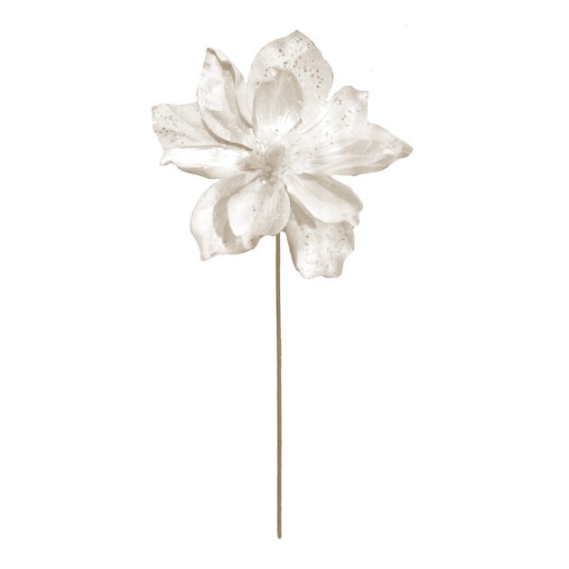 POINSETIA MAGNOLIA - ALT 65 CM X DIAM 22 CM (CF0354)
