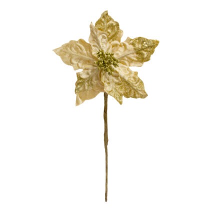 POINSETIA DOURADO VELUDO - ALT 20 CM X DIAM 19 CM (CF0410)