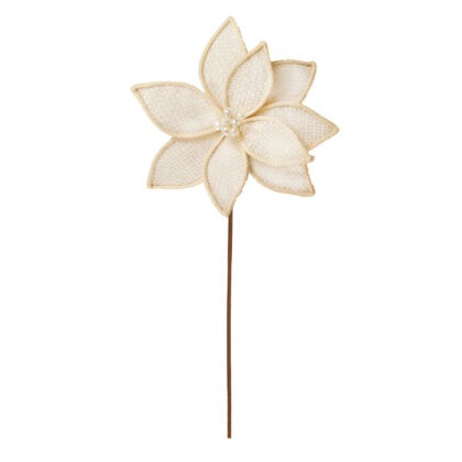 POINSETIA OFF WHITE X9 - ALT 60 CM DIAM 30 CM (CF0670)