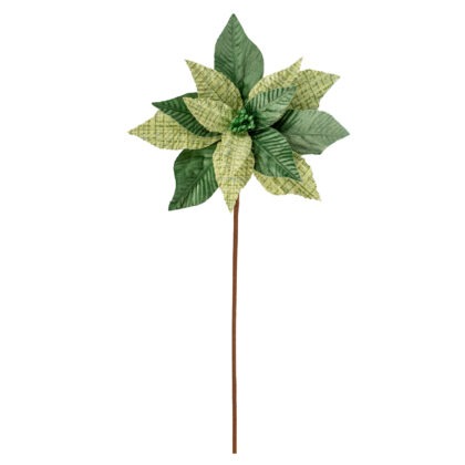POINSETIA ESMERALDA X14 - ALT 60 CM DIAM 27 CM (CF0673)