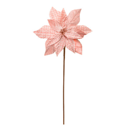 POINSETIA ROSE X14 - ALT 60 CM DIAM 27 CM (CF0674)