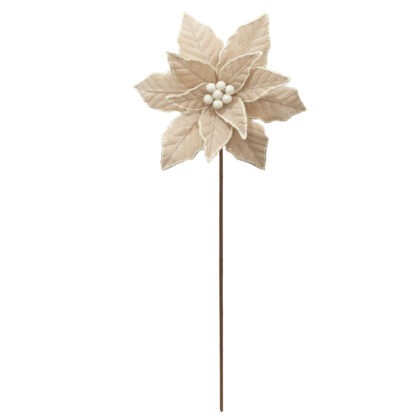 POINSETIA VELUDO CHAMPAGNE NEVADA - ALT 63 CM X DIAM 30 CM (CF0756)