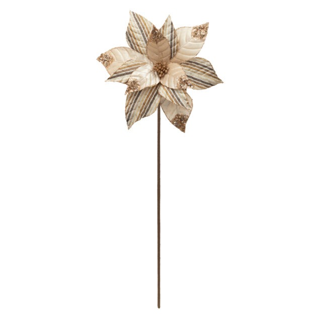 POINSETIA CHAMPAGNE LISTRADO - ALT 60 CM X DIAM 31 CM (CF0766)