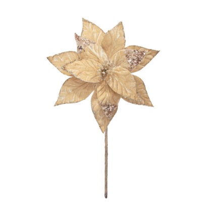 POINSETIA VELUDO CHAMPAGNE C/ GLITTER - ALT 36 CM X DIAM 24 (CF0804)