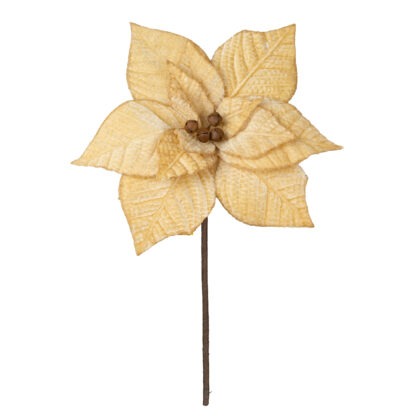 POINSETIA DOURADO COM GUIZO X 12 - ALT 35 X DIAM 27 CM (CF1091)