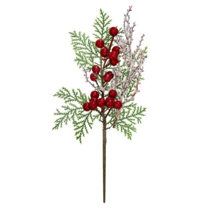 HASTE BERRY - ALT 30 CM (CF1007)