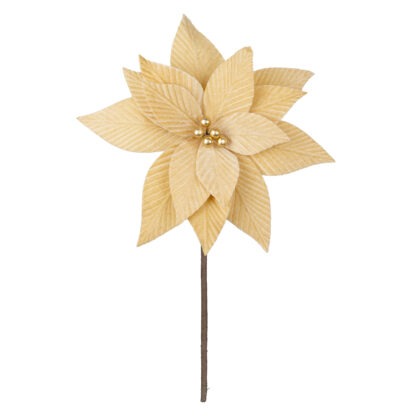POINSETIA VELUDO DOURADO X 15 - ALT 35 X DIAM 27 CM (CF1096)