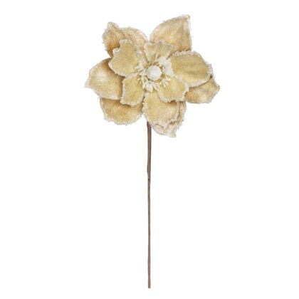 POINSETIA DOURADO COM BRANCO X 12 - ALT 45 X DIAM 24 CM (CF1323)