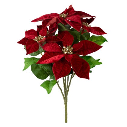 B. BICO DE PAPAGAIO VERMELHO AVELUDADO X 5 - ALT 50 CM (CF1348)